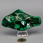 Natural Malachite Freeform Crystal - Grounding Protection Stone for Transformation Crystal Destiny