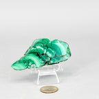 Malachite Slices, Polished Healing Stone