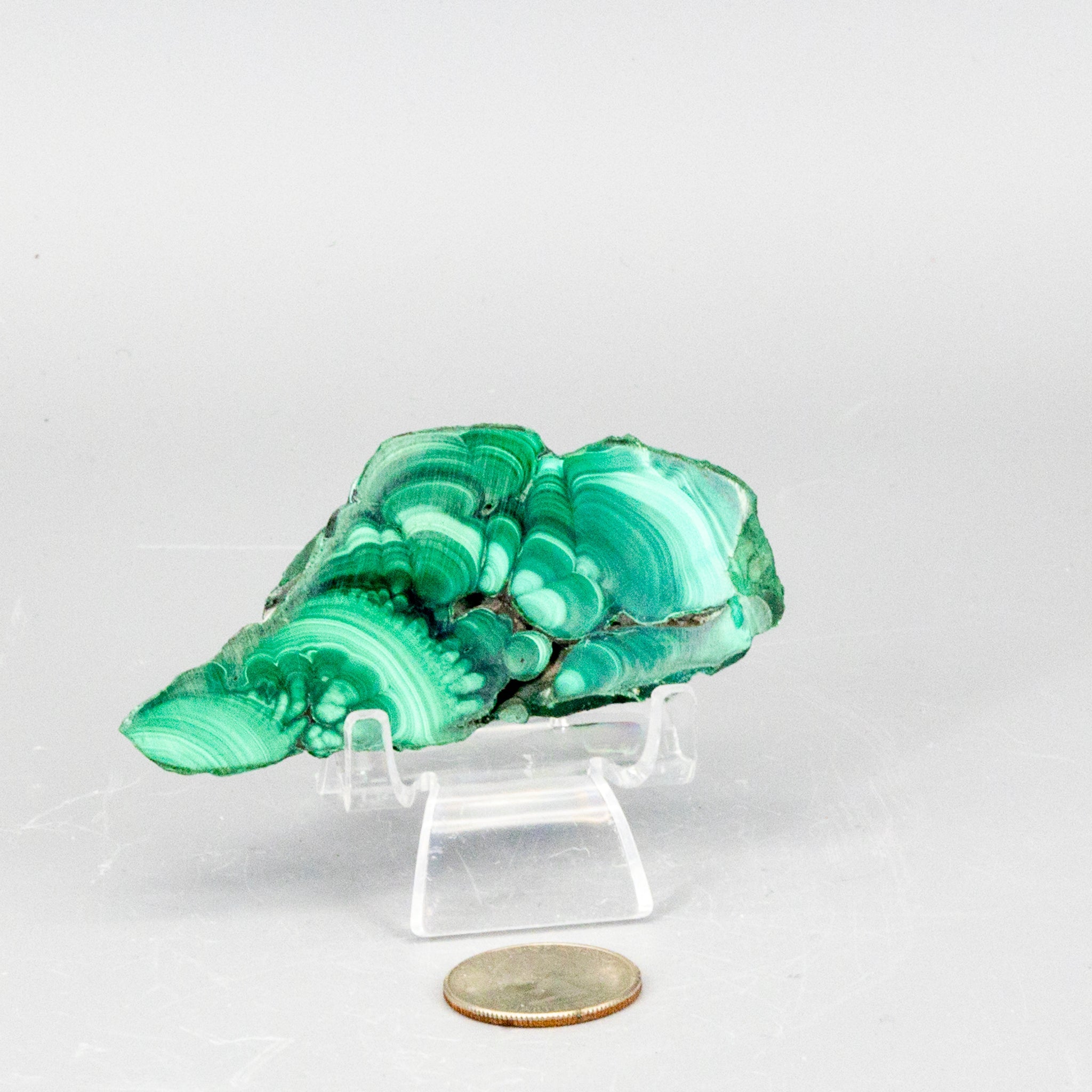 Malachite Slices, Polished Healing Stone