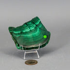 Malachite Slices, Polished Healing Stone