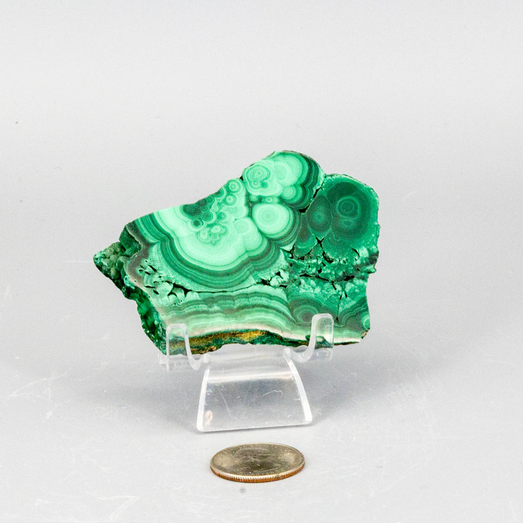 Malachite Slices, Polished Healing Stone