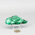 Malachite Slices, Polished Healing Stone