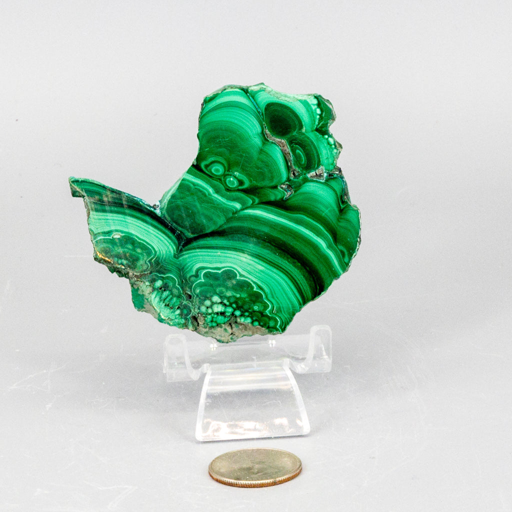 Malachite Slices, Polished Healing Stone