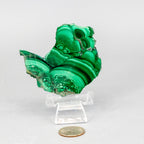 Malachite Slices, Polished Healing Stone
