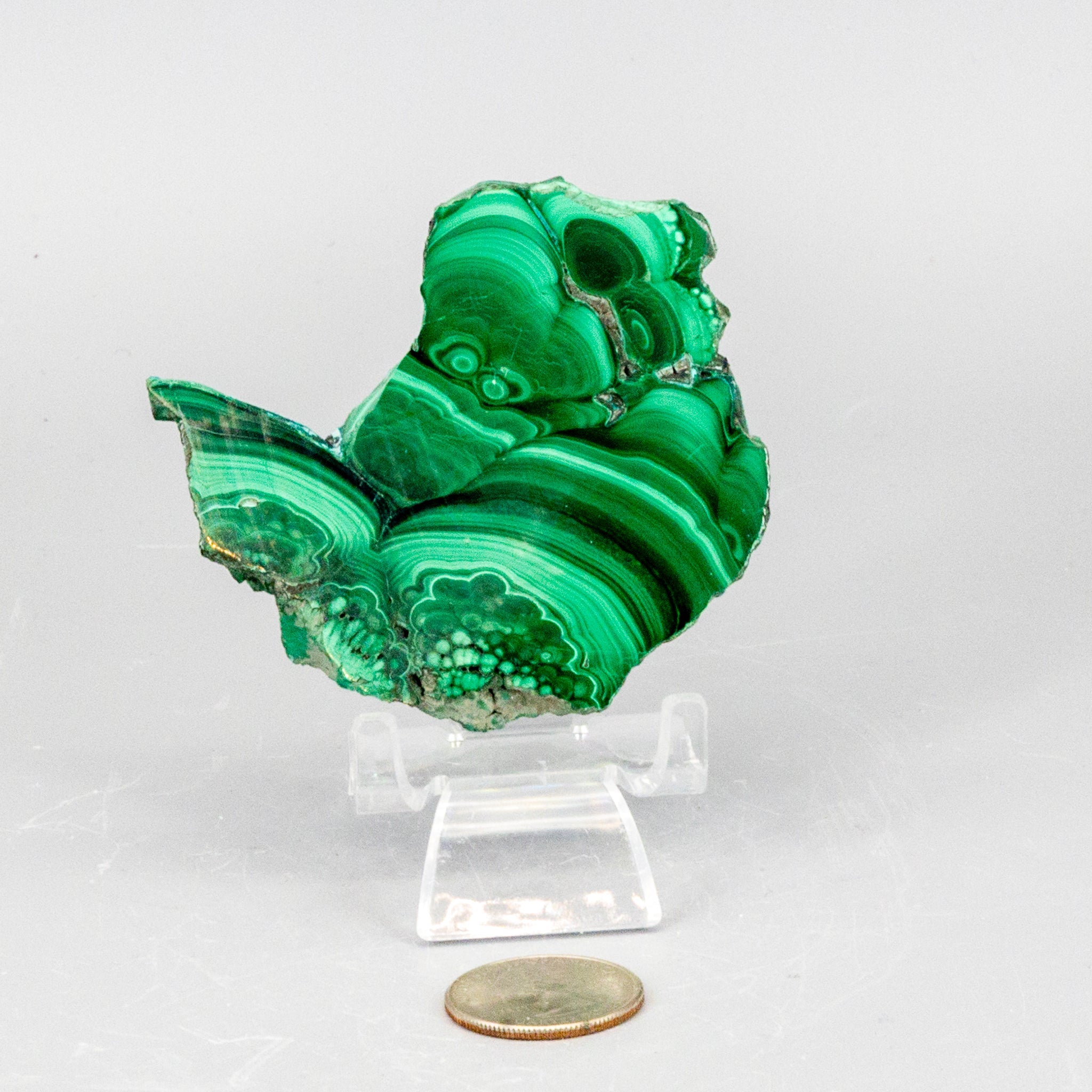 Malachite Slices, Polished Healing Stone