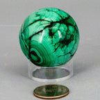 Malachite Sphere - Natural Protective Healing Crystal 278g One-of-a-Kind Crystal Destiny