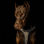 The Leopard Harness Bestia Dog Gear