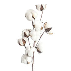 Artificial Cotton Stem for Decor