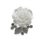 Hole Shoes Accessories Metal Buckle