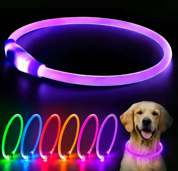 LED Rechargeable Dog Collar Pi-Mart