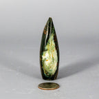 Ocean Jasper Torch Freeform
