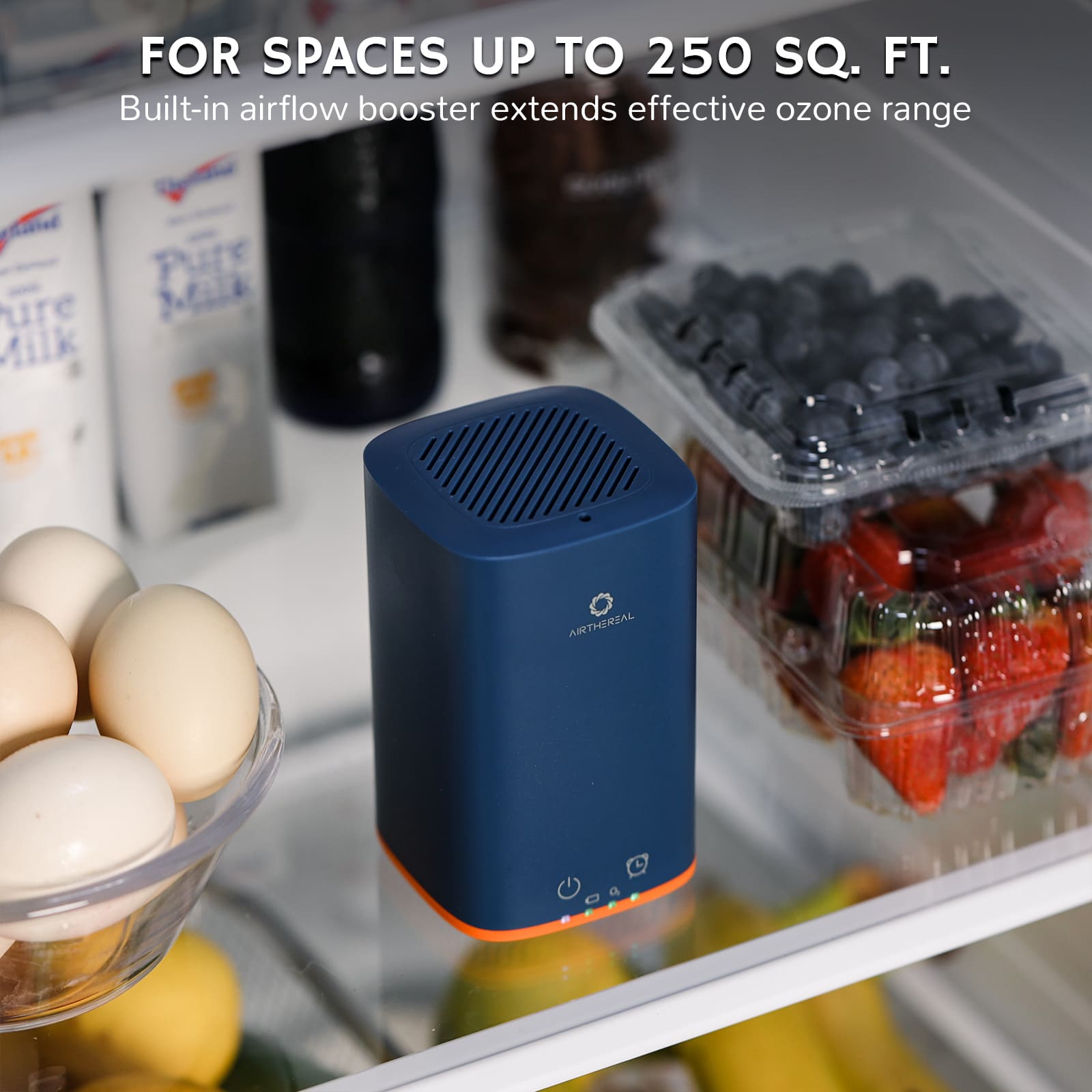 PA300-GO Portable Ozone Generator Airthereal
