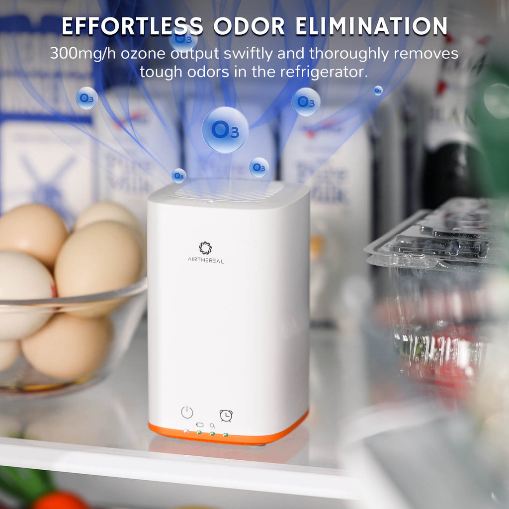 PA300-GO Portable Ozone Generator Airthereal