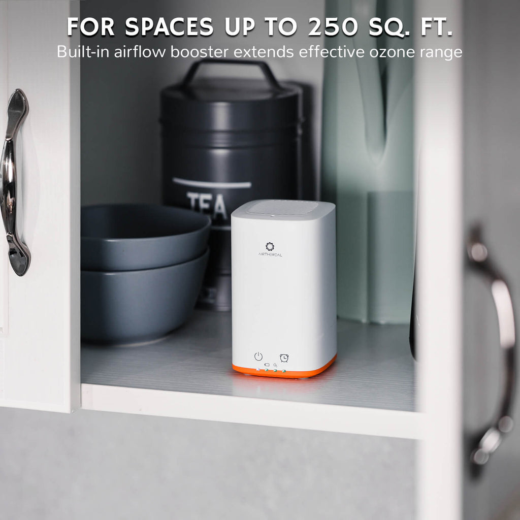 PA300-GO Portable Ozone Generator Airthereal