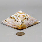 Petrified Wood Pyramid