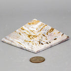 Petrified Wood Pyramid