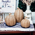 Rattan Resin Pumpkins Fall Decor - Set Or Single, 3 Sizes, Honey Cognac BandsCo Straps