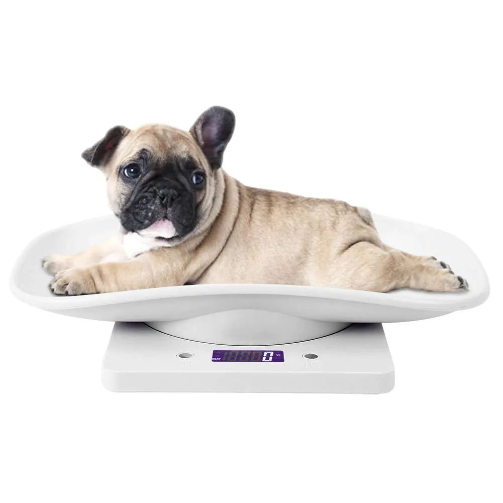 Small Pet Scale for cat and Dog Baby Scale 10kg/1g Digital Small Pet Weight Scale Multi-Function Baby Scale for Small pet Hatching and Food Weighing Measure Tool Electronic Kitchen Scale Pi-Mart