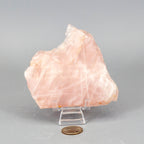 Rose Quartz Slice, Polished Crystal