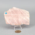 Rose Quartz Slice, Polished Crystal
