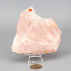 Rose Quartz Slice, Polished Crystal