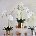 1Pcs Artificial Flowers Bouquet Butterfly Orchid Fake Flowers Phalaenopsis for Home Decor Garden Wedding Decoration Accessories Lootquake LLC