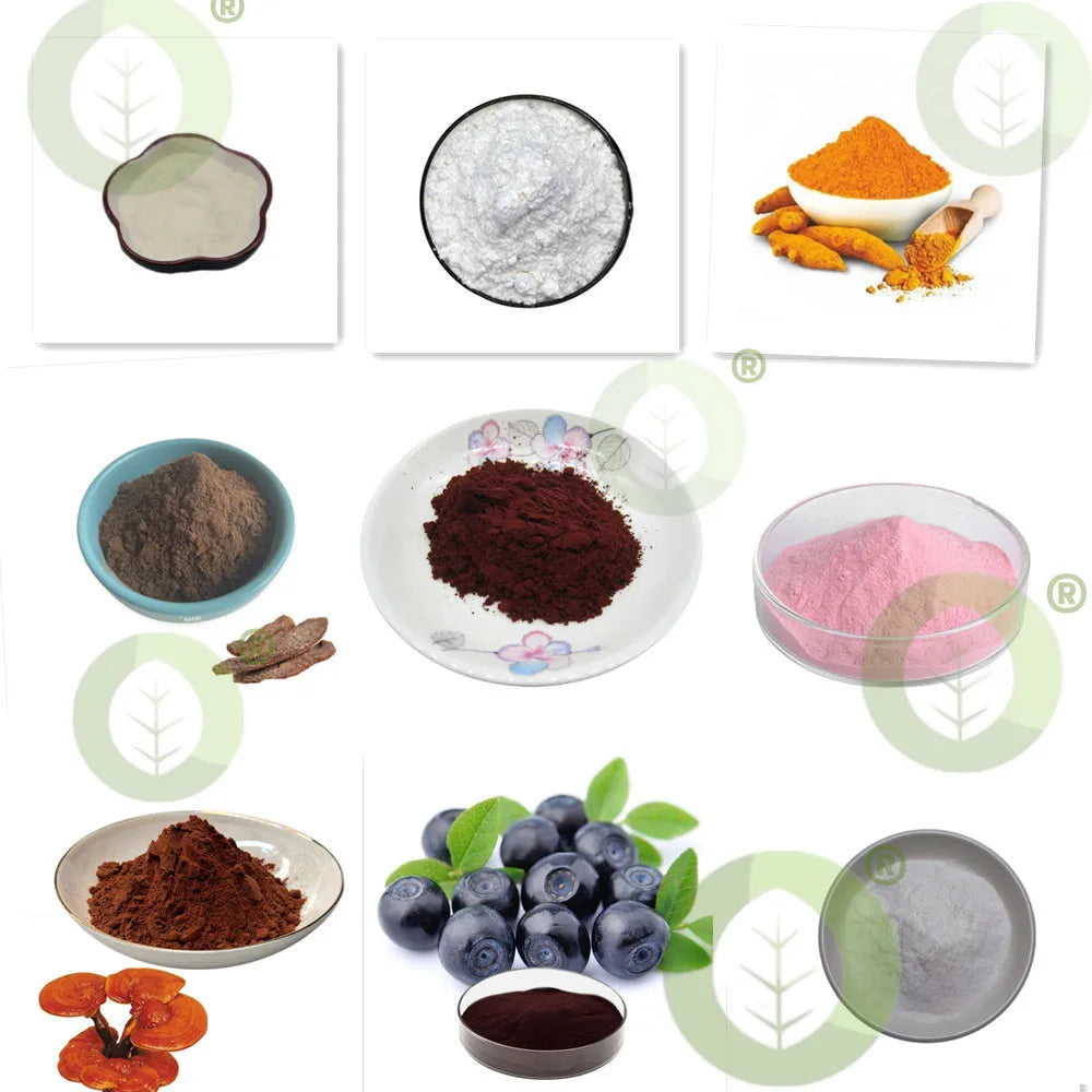 High Quality Cosmetic Raw Material Kojic Acid Powder Whitening Skin Lootquake LLC