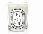 Aromatherapy Candle Natural Plant Scented Candles French Fragrance Fresh And Elegant Lasting Air Companion Aroma Gift Lootquake LLC