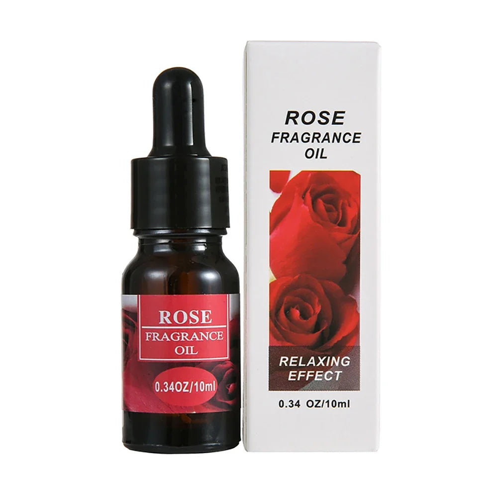 For Household Car Office Aromatherapy Ornaments Gifts Universal 10ML Air Freshener Natural Plant Fragrance Humidifier Lootquake LLC