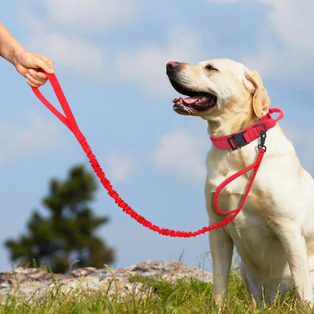 The Tactical Luxe Collar & Leash Fashioned Furbabies