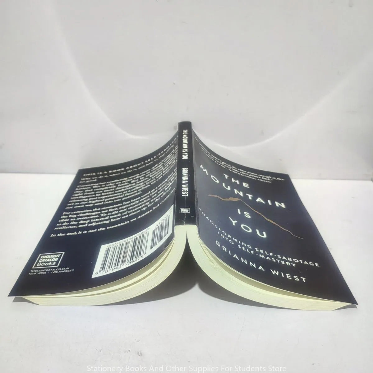 The Mountain Is You Book The Mountain Is You novels Ielts English Atomic Beans Boy On A Row Lootquake LLC