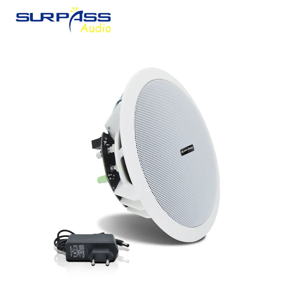 Built-in Class-D Amplifier Full Range Bluetooth-compatible Ceiling Speaker Horn For Home Theater Background Music Good Quality Lootquake LLC
