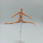 Articulated Human Figma Figurine Drawing Sketch People Statues Art Painting Joint Figurine Sculpture Decoration Desk Accessories