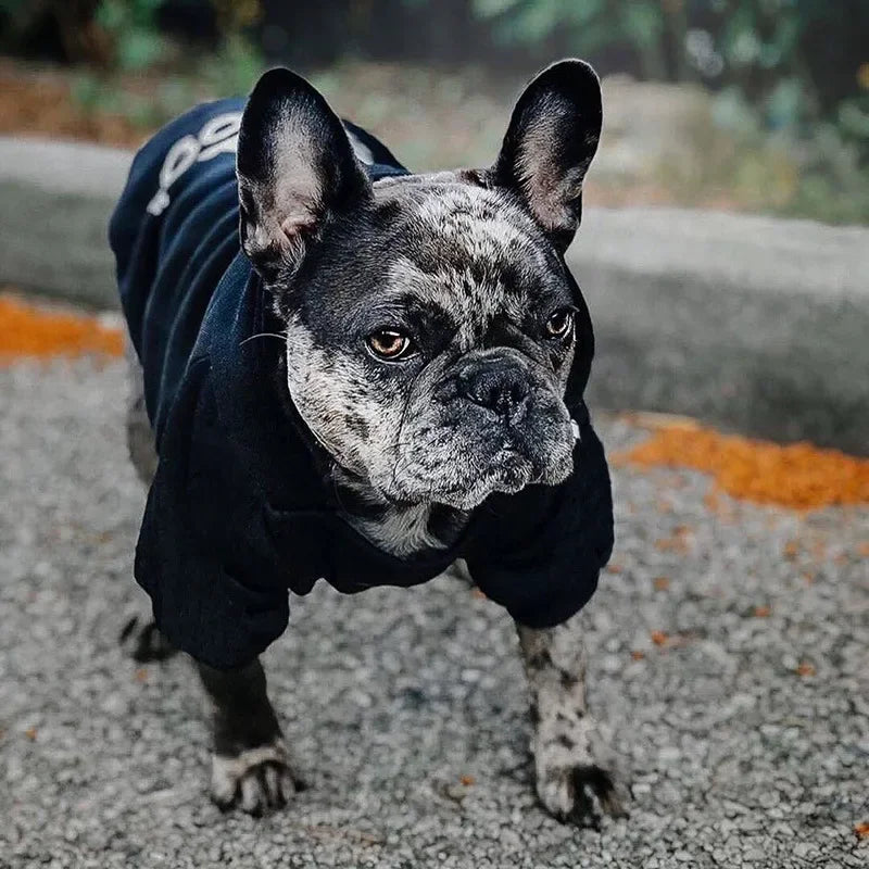 Pet Dog Hoodies The Dog Face - SJB-DIAMOND ELITES