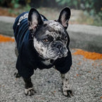 Pet Dog Hoodies The Dog Face - SJB-DIAMOND ELITES