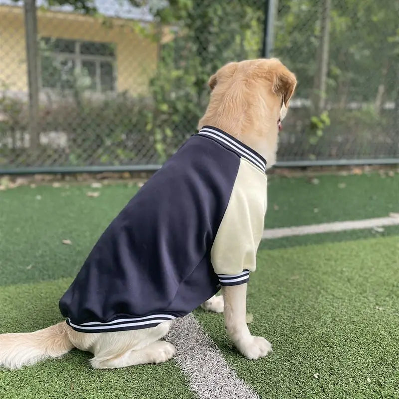 Big Dog Baseball Suit Fashioned Furbabies