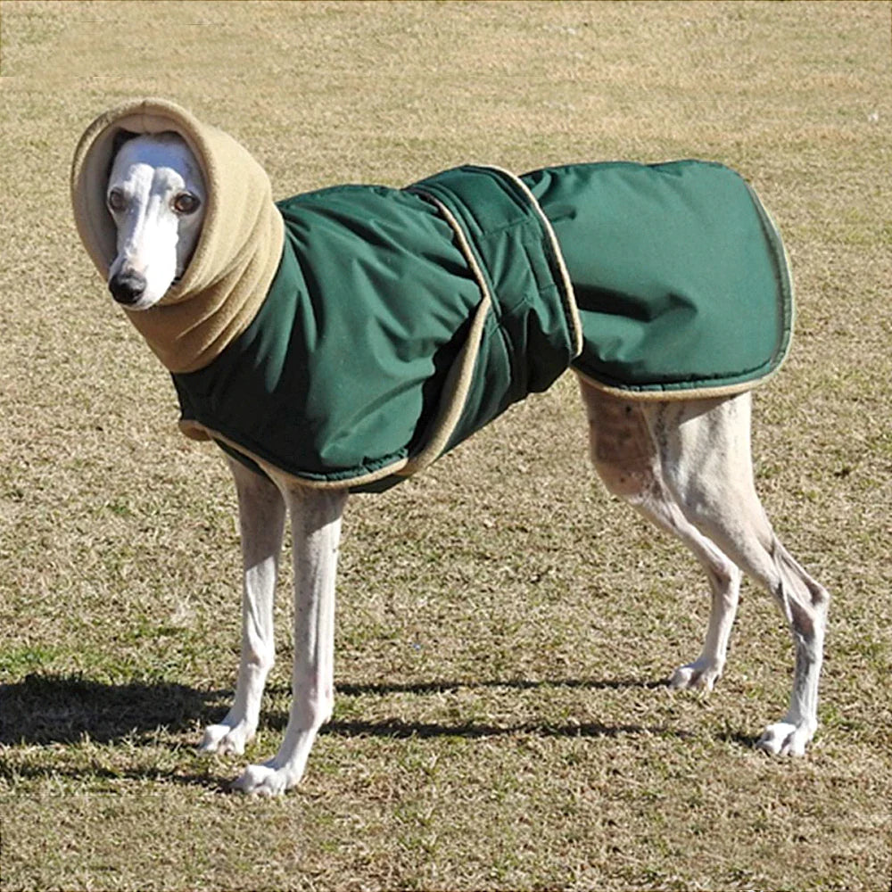 Arctic Paws: Cozy Waterproof Jacket for Big Dogs THRIXINE