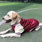 Big Dog Baseball Suit Fashioned Furbabies
