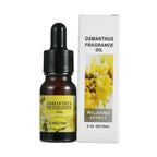 For Household Car Office Aromatherapy Ornaments Gifts Universal 10ML Air Freshener Natural Plant Fragrance Humidifier Lootquake LLC