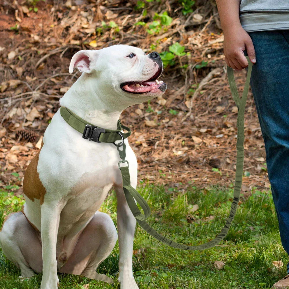 The Tactical Luxe Collar & Leash Fashioned Furbabies