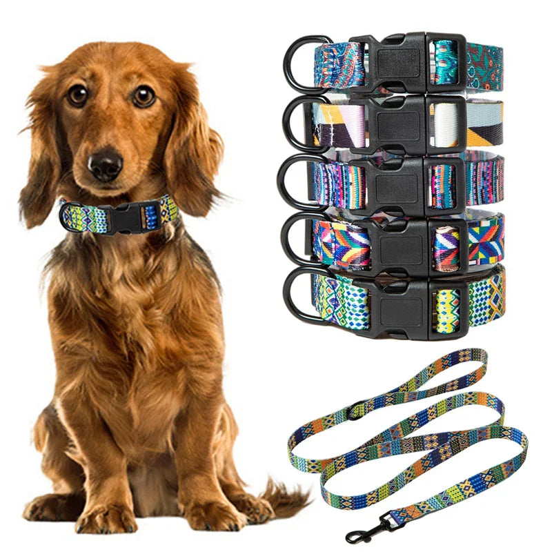 Pet Collar and Leash Set for Small Medium Large Dog Walking Collars Bohemia Style Puppy Cat Collar Pet Supplies Buldog Chihuahua Lootquake LLC