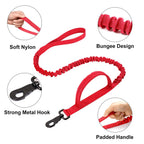 The Tactical Luxe Collar & Leash Fashioned Furbabies