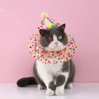 Pet Dog Birthday Party Dog Hat Candy Color Dot Lace Cat Bib Suit Cute Small Medium Dogs Costume Cap Pet Products Accessories Lootquake LLC
