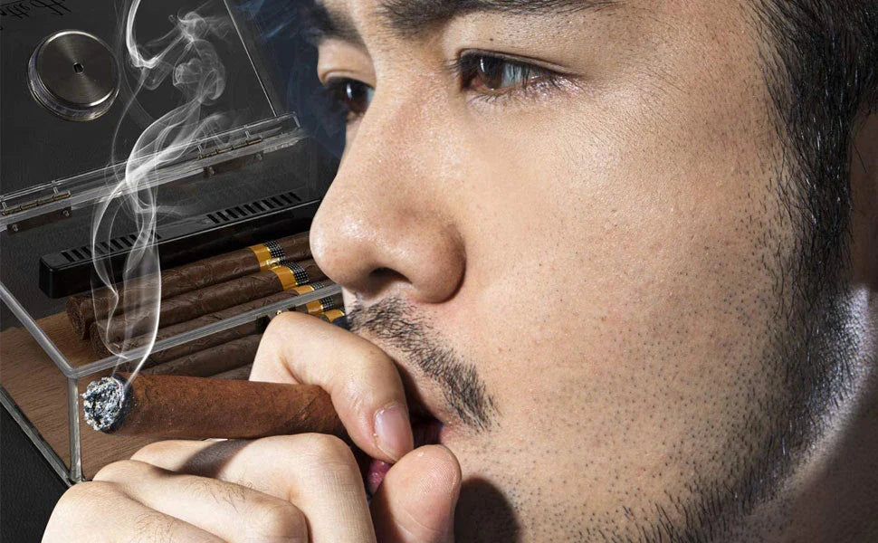 Scotte Cigar Case Humidors Acrylic Cigar Box Hygrometer Humidifier Hold 20 Cigars Include Cigar Cutters Cigar Punch Accessories Lootquake LLC