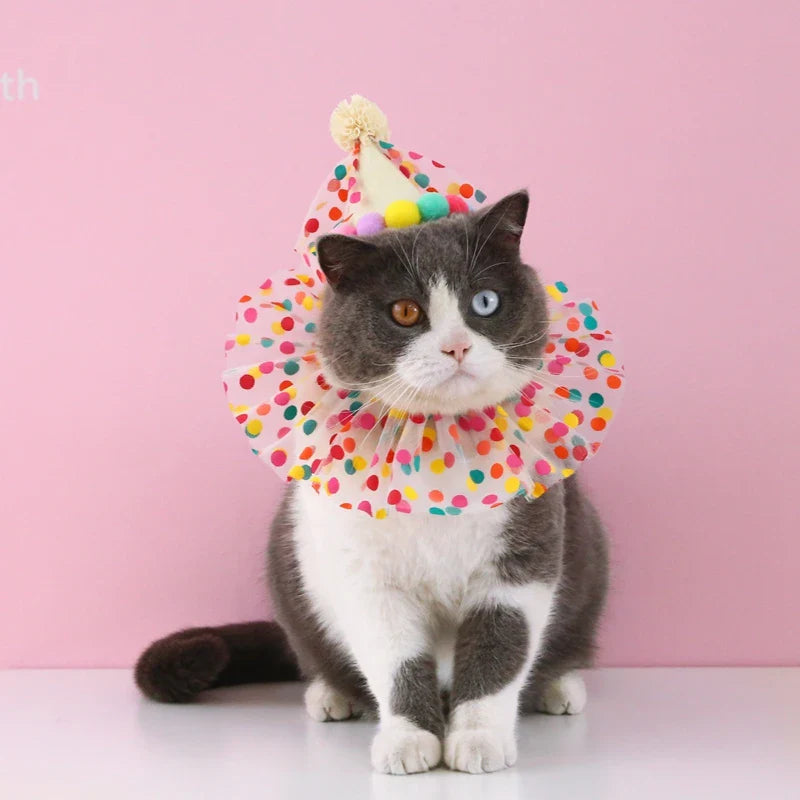 Pet Dog Birthday Party Dog Hat Candy Color Dot Lace Cat Bib Suit Cute Small Medium Dogs Costume Cap Pet Products Accessories Lootquake LLC