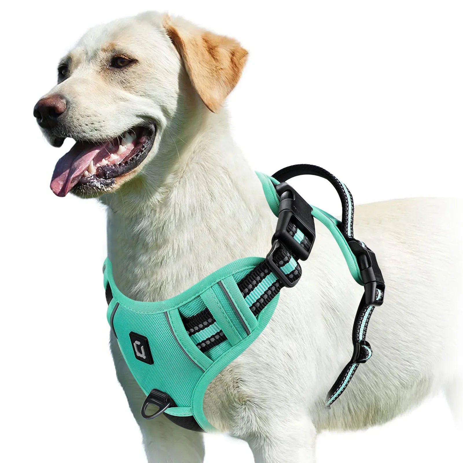 PawsEase No-Pull Soft Harness with Control Handle THRIXINE