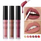 6-Color Velvet Lip Glaze Lipstick High Color Lip Makeup Waterproof Long-Lasting Nude Lip Color Liquid Cosmetics Lootquake LLC