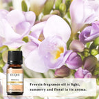 EUQEE 10ML Coconut Vanilla Bubble Gum Fragrance Oil For Making Candle, DIY Soap Coffee Cake Cedarwood Premium Aroma Oils Lootquake LLC
