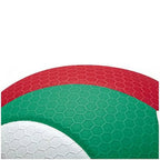 FLISTATEC Pro Volleyball - Size 5 THRIXINE