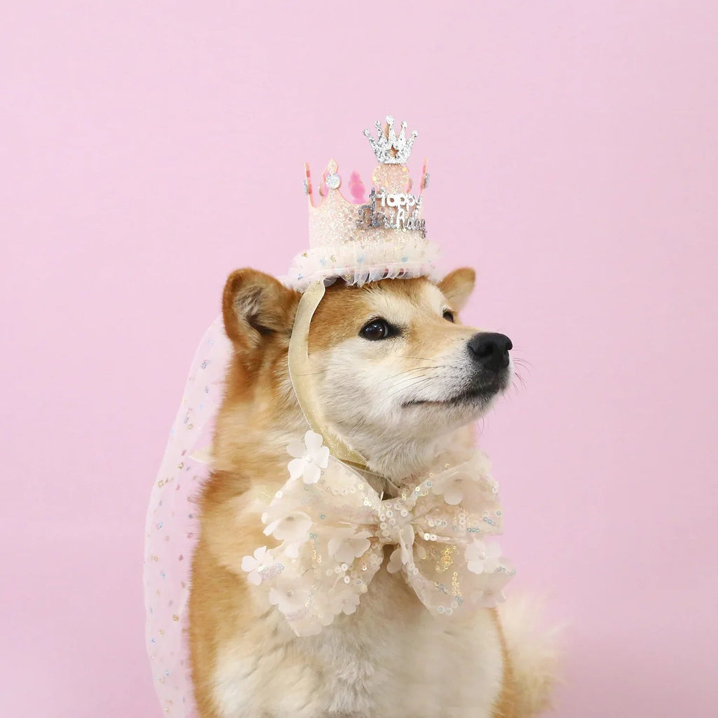 Pet Dog Birthday Party Dog Hat Candy Color Dot Lace Cat Bib Suit Cute Small Medium Dogs Costume Cap Pet Products Accessories Lootquake LLC
